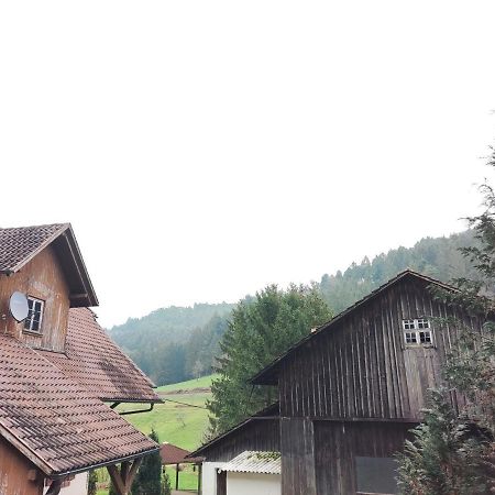 Geraeumige Wohnung Im Schwarzwald Seelbach (Baden-Wurttemberg) Exterior foto