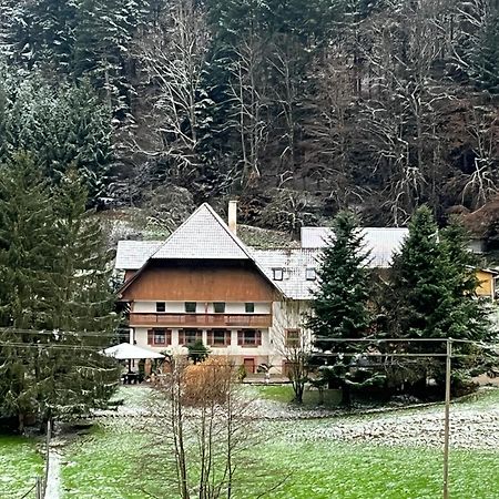 Geraeumige Wohnung Im Schwarzwald Seelbach (Baden-Wurttemberg) Exterior foto