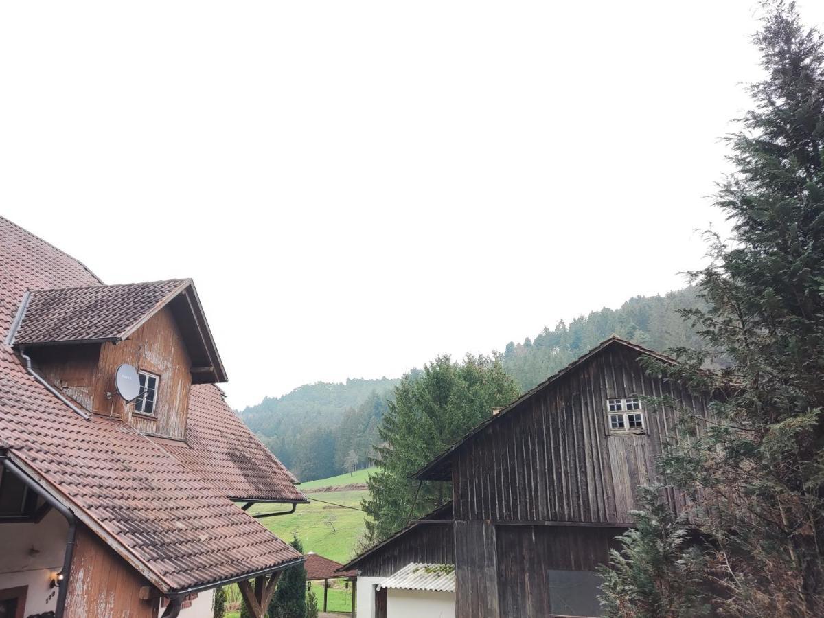 Geraeumige Wohnung Im Schwarzwald Seelbach (Baden-Wurttemberg) Exterior foto