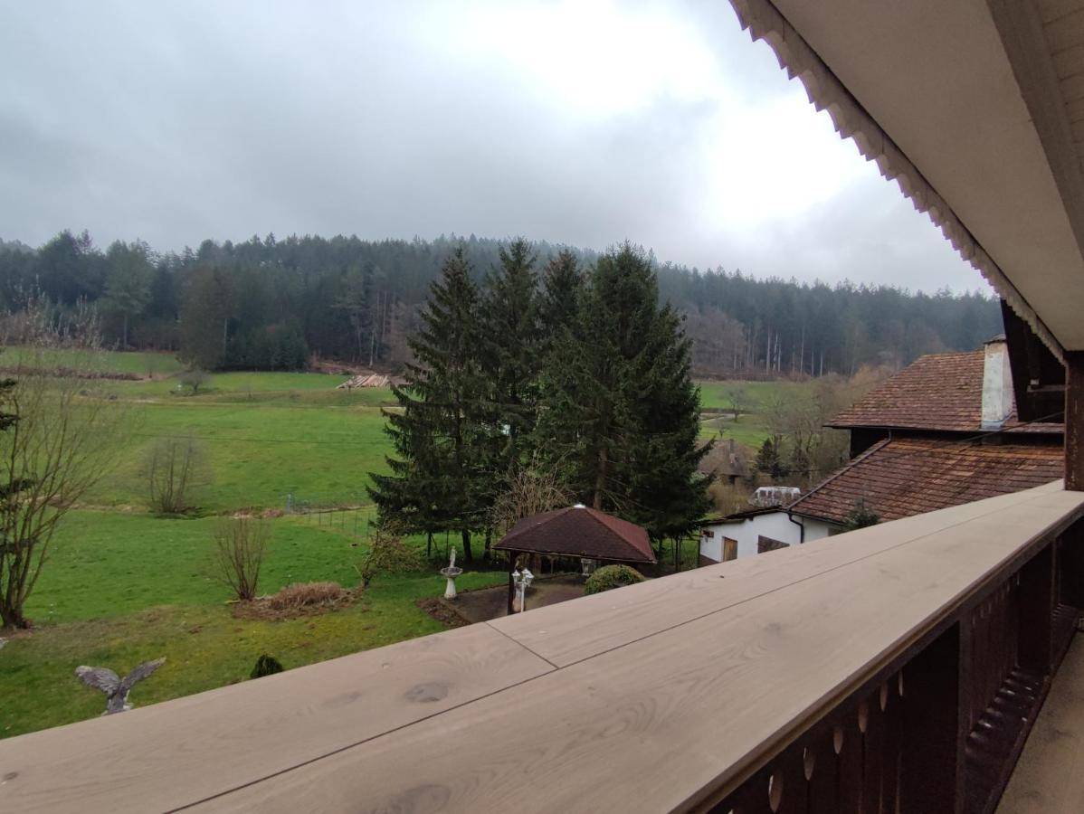 Geraeumige Wohnung Im Schwarzwald Seelbach (Baden-Wurttemberg) Exterior foto