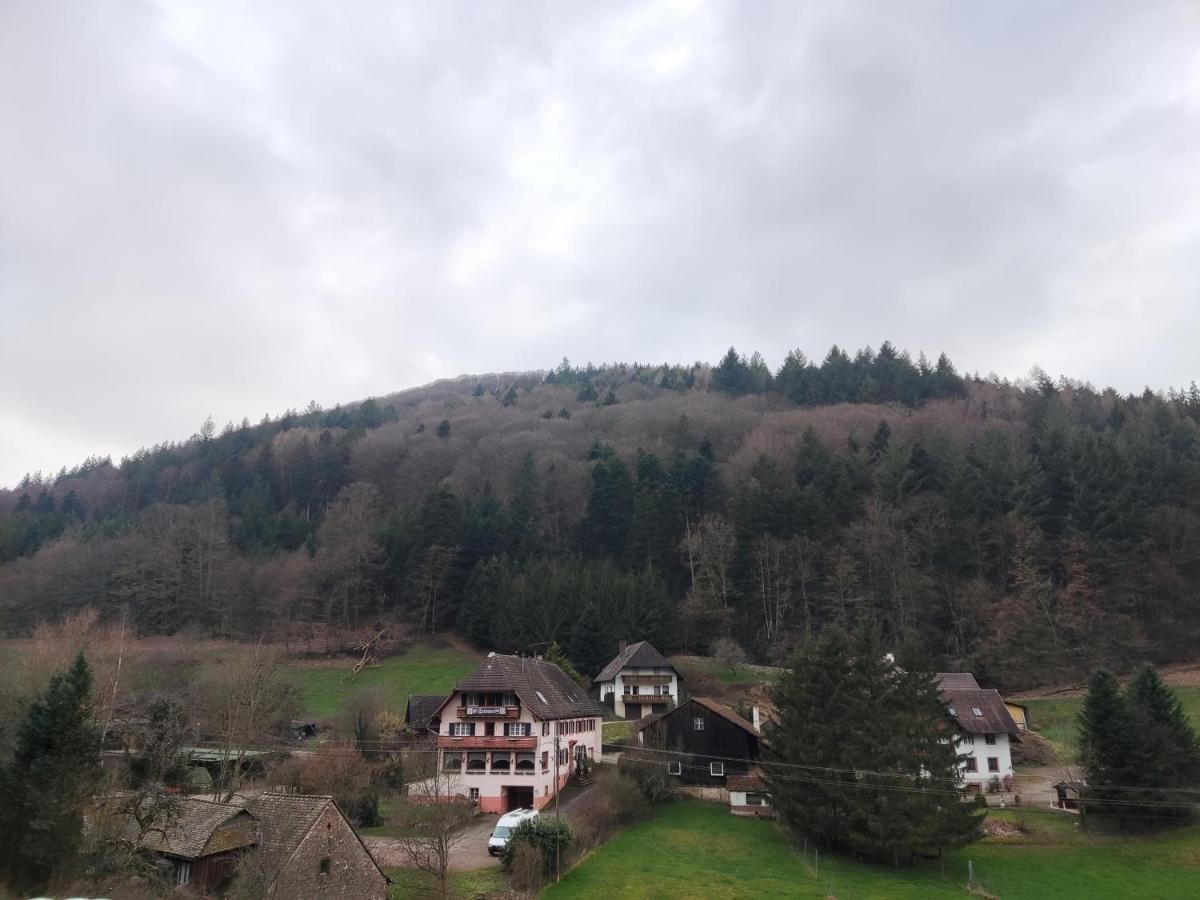 Geraeumige Wohnung Im Schwarzwald Seelbach (Baden-Wurttemberg) Exterior foto